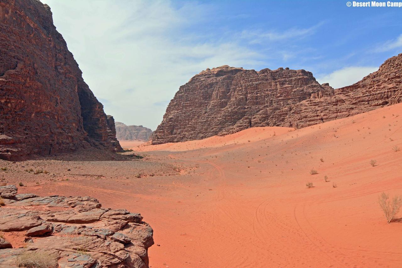 Desert Moon Camp Wadi Rum Exterior photo